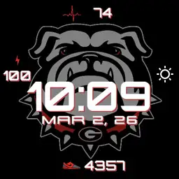 Georgia Bulldogs