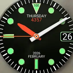 ms20231020