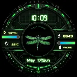Project Dragonfly 1
