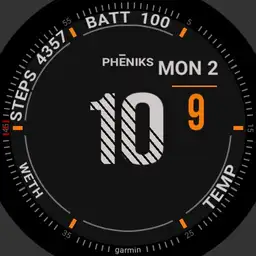 Garmin Pheniks S. Copy