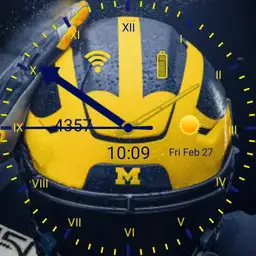 michigan helmet