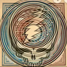 Steal Your Face