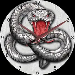 snake & daggers