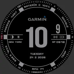 Garmin PRO V1