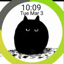 Blinking black cat