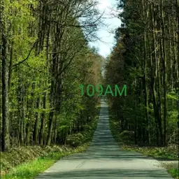 The Beaten Path