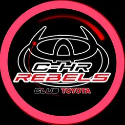 REBELS Copy