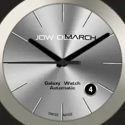 Classic silver Copy