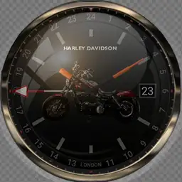Harley Davidson 1
