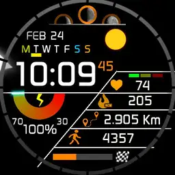 Orange watch full info Lele Puma