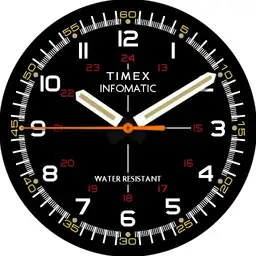 Timex "Military Sprite" World Timer