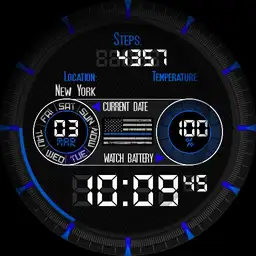Thin Blue Line Copy