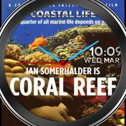 Coastal Life
