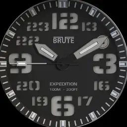 Brute EXPEDITION Field Watch Blue Lume