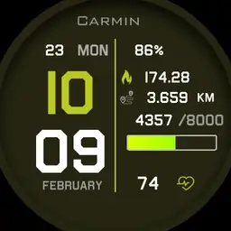 Carmin Watch