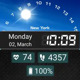 ost Ticwatch w2 Copy