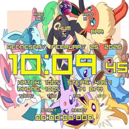 Eeveelution Info Overload Chrono