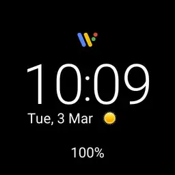 New Pixel watch