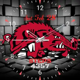 Arkansas Razorbacks NCAA football