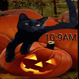 Halloween Cat