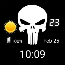 punisher