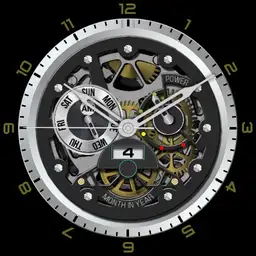 TS watch