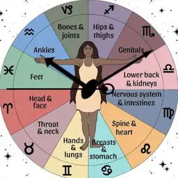 Anatomy Zodiac
