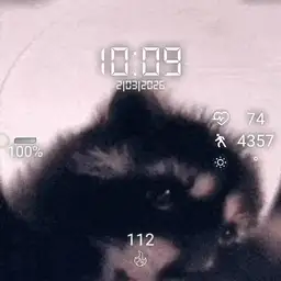 Pedro Racoon Meme
