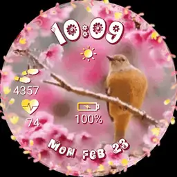 Cheery Cherry Blossoms