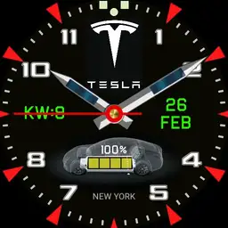 Tesla Model S Copy