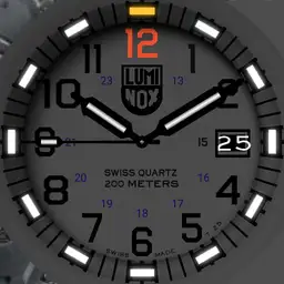 Luminox EVO Navy Seal Blackout Replica Copy