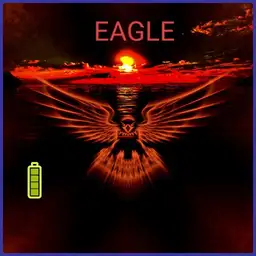 eagle by night Copy