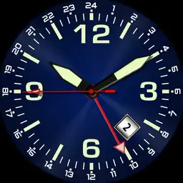 Field Watch 24hr hand plus autolume