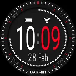 D51 - Garmin Fenix 3
