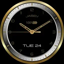 jasev gold n silver