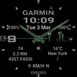 Savy Garmin2 simple gray, green, red Copy