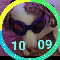 Pepp Dog