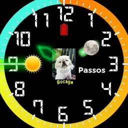 My Dog Copy