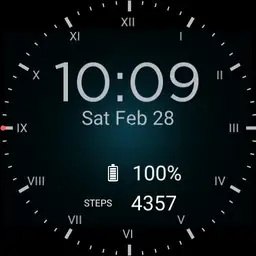 Blood Sugar watch