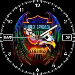 WDS Rainbow Harley Logo Watch