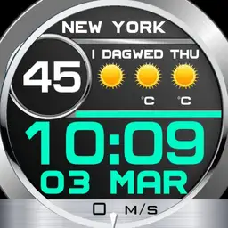 Digital weather watch