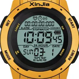 XinJia