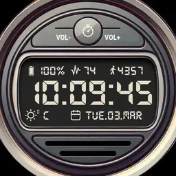 Brute DIGI Digital Multi Info Black