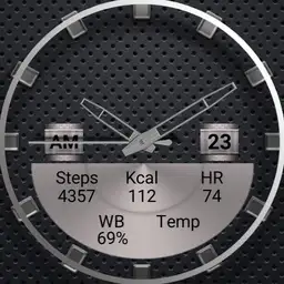 pcr316