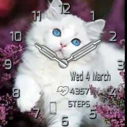 brit White kitty