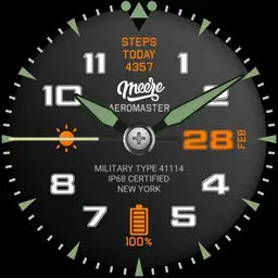 Aeromaster Pilot Copy