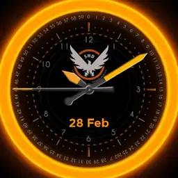 The Division Analog