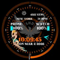 The Division Agent 88