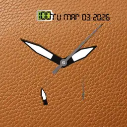 TiP - Leather watch
