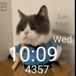 Annoyed cat.